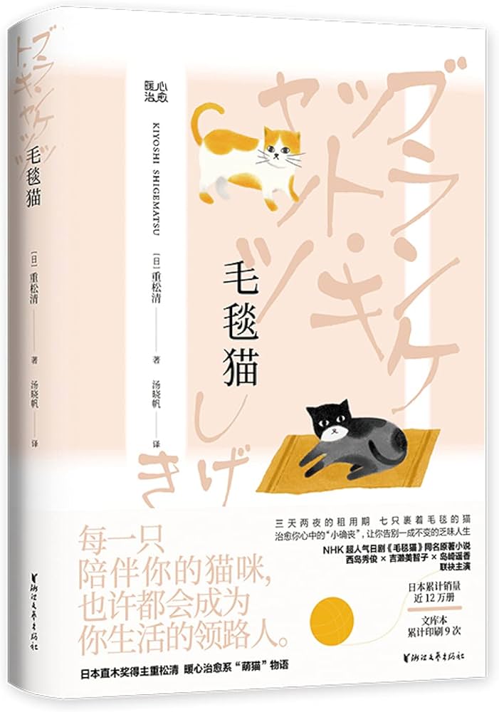 毛毯猫